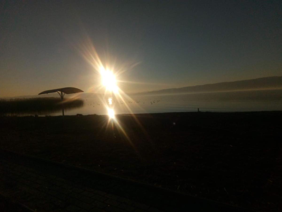 Villa Rimari Ohrid Bagian luar foto